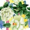 Watercolor white camelia flower. Floral botanical flower. Seamless background pattern.