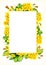 watercolor white frame with yellow primrose evening flowers, hand drawn botanical illustration with spring flowers