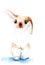 Watercolor white rabbit with brown ears and nose