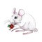 Watercolor white rat or mouse illustration with nice red christmas berries. Cute little mouse a simbol of chinese 2020 new year