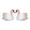 Watercolor white swan couple Two birds in love Cute For Valentine\\\'s day wedding 2024 logo postcard poster