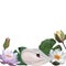 Watercolor white swan waterlilies buds leaves Cute Women's day 2024 baby decor spa logos posters templates Floral