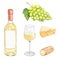 Watercolor white wine and cheese set isolated on white background. Hand drawn green grape fruit and glass wine bottle