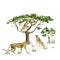 Watercolor wild Africa animal savannah cat Cheetah and tree savaanah. Nature Africa for greeting card