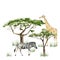 Watercolor wild Africa animal savannah Giraffe, Zebra and tree. Nature Africa for greeting card