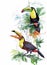 Watercolor wild exotic birds on flowers