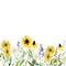 Watercolor wild floral border. Yellow and white botanical wildflowers, herbs, leaves, branches, twigs, foliage, leaves for wedding