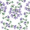 Watercolor wild periwinkle on white background. Seamless pattern.