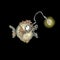 Watercolor wild predator Angler fish illustration