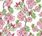 Watercolor wild rose pattern with white background