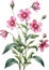 Watercolor wildflower clipart for decoration, AI-Generated.