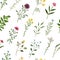 Watercolor wildflower seamless pattern. Botanical spring summer flowers for fabric textile