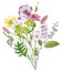 Watercolor wildflowers bouquet. Beautiful meadow flowers bunch. Floral arrangement.