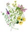 Watercolor wildflowers bouquet. Beautiful meadow flowers bunch. Floral arrangement.