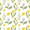 Watercolor wildflowers and herbs seamless pattern. Hand drawn dandelion flowers, green weed on white background. Summer meadow