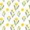 Watercolor wildflowers and herbs seamless pattern. Hand drawn dandelion flowers on white background. Summer meadow illustration.