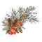 Watercolor winter bouquet with spruce branches, pine cones, acorn. Natural Christmas greeting card