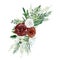 Watercolor winter floral bouquet. Burgundy flowers. White and red rose, pampas grass, winter greenery fir tree branch, foliage