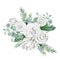 Watercolor winter white floral bouquet. Soft rose and peonies, eucalyptus branch, winter greenery fir tree branch, foliage