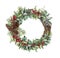 Watercolor winter wreath. Hand painted tree wreath with floral branches, berries, leaves and pine cones isolated on