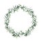 Watercolor winter wreath with lambs ears branch. Hand painted green woolly hedgenettle leaves composition isolated on