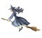 Watercolor witch. Hand painted magic character flying on broomstick. Helloween illustration isolated on white background