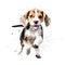 Watercolor Wonder: Beagle Puppy play and fun Running for your Designs AI Generated