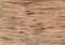 Watercolor wood texture