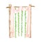 Watercolor wood wedding arch with hanging ivy leaves garlands and pastel curtains. Hand drawn wood archway isolated on