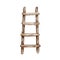 Watercolor wooden ladder shelf