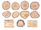 Watercolor Wooden Slices and sign boards Collection clipart