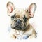 Watercolor Woof: French Bulldog Puppy with Playful Personality AI Generated