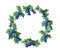 Watercolor wreath of blue grape,green leaves on white background.