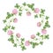 Watercolor wreath with cute clover illustrations. Hand drawn pink clover isolated on the white background. Circle frame of meadow