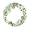 Watercolor wreath with different  ferns