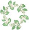 Watercolor wreath of flowers and branches Jasmine isolated on a white background