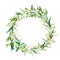 Watercolor wreath with green and golden olive berries. Hand painted floral border with olive fruit and tree branches