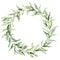 Watercolor wreath with olive leaves. Hand painted floral border with olive fruit and tree branches with leaves isolated