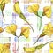 Watercolor yellow acacia leaf. Leaf plant botanical garden floral foliage. Seamless background pattern.
