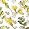 Watercolor yellow acacia leaf. Leaf plant botanical garden floral foliage. Seamless background pattern.