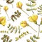 Watercolor yellow acacia leaf. Leaf plant botanical garden floral foliage. Seamless background pattern.