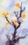 Watercolor Yellow Apricot Flowers