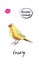 Watercolor yellow canary bird