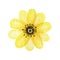 Watercolor Yellow flower, Spring floral element hand painting isolaited illustration on white background. Make your