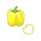 Watercolor yellow succulent bell pepper