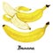 Watercolour cartoon calligraphy bananas poster