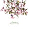 Watercolour cherry blossom greeting