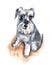Watercolour Cute Miniature Schnauzer Dog Painting Illustration