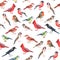 Watercolour hand painted seamless pattern with colourful birds.