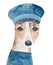 Watercolour illustration of cute little whippet dog wearing navy blue postman uniform.